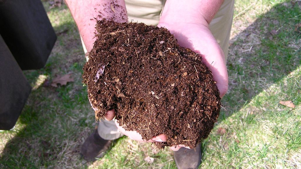 Cómo hacer compost casero con restos de cocina