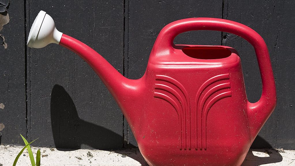 Cómo regar las plantas en vacaciones: 5 trucos caseros